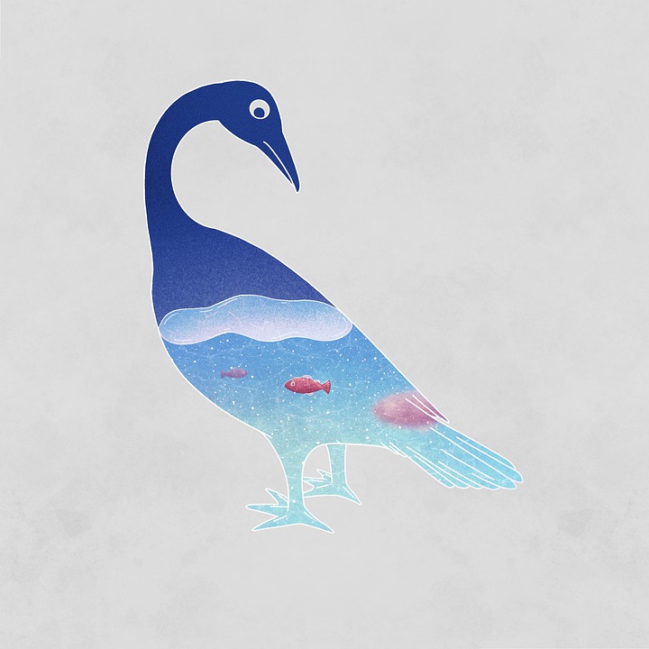 Videojuego SnuckFish